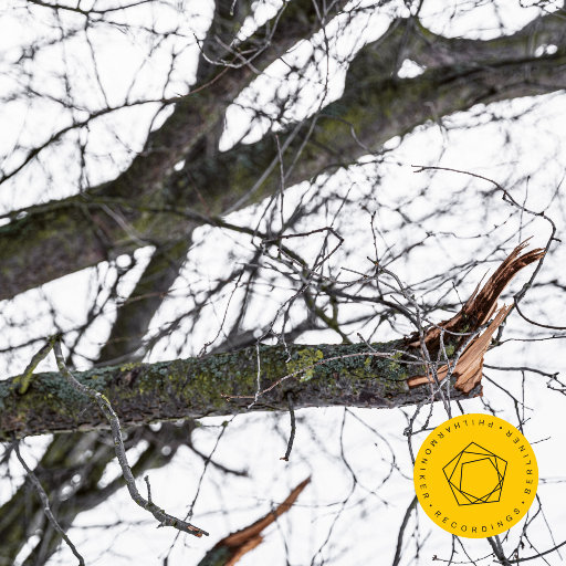 成人av在线播放
